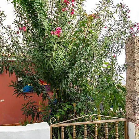 Apartman Kordelliya Garden Chayofa